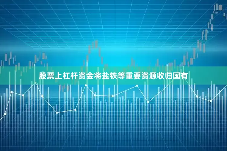 股票上杠杆资金将盐铁等重要资源收归国有